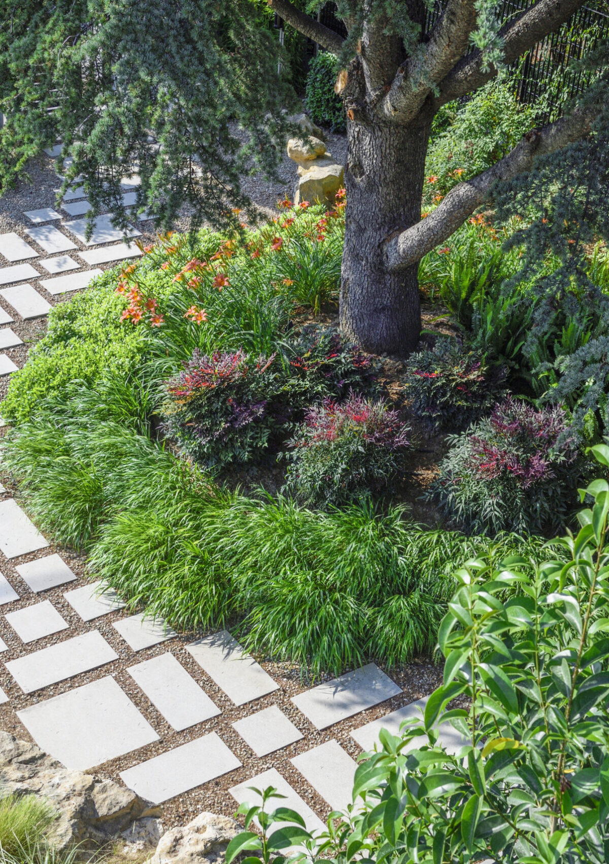 OPSIS_CEDRUS_LANDSCAPE_1