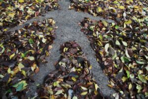 land_art_3_by_schlobi